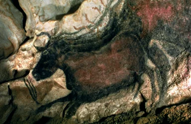 Felsmalerei eines schwarzen Stiers, um 17000 v. Chr.